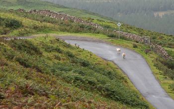 Driving Test Tourism - Is It For You?
